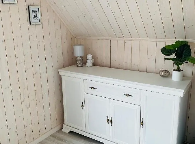 Lapacz Snow * Władysławowo